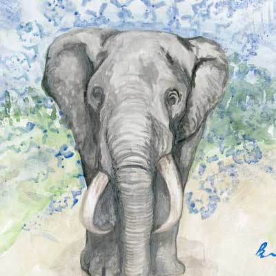 Hey There Baby Elephant - Animanls From Chaos - Dvorsky Art - Watercolor painting of an elephant in abstraction